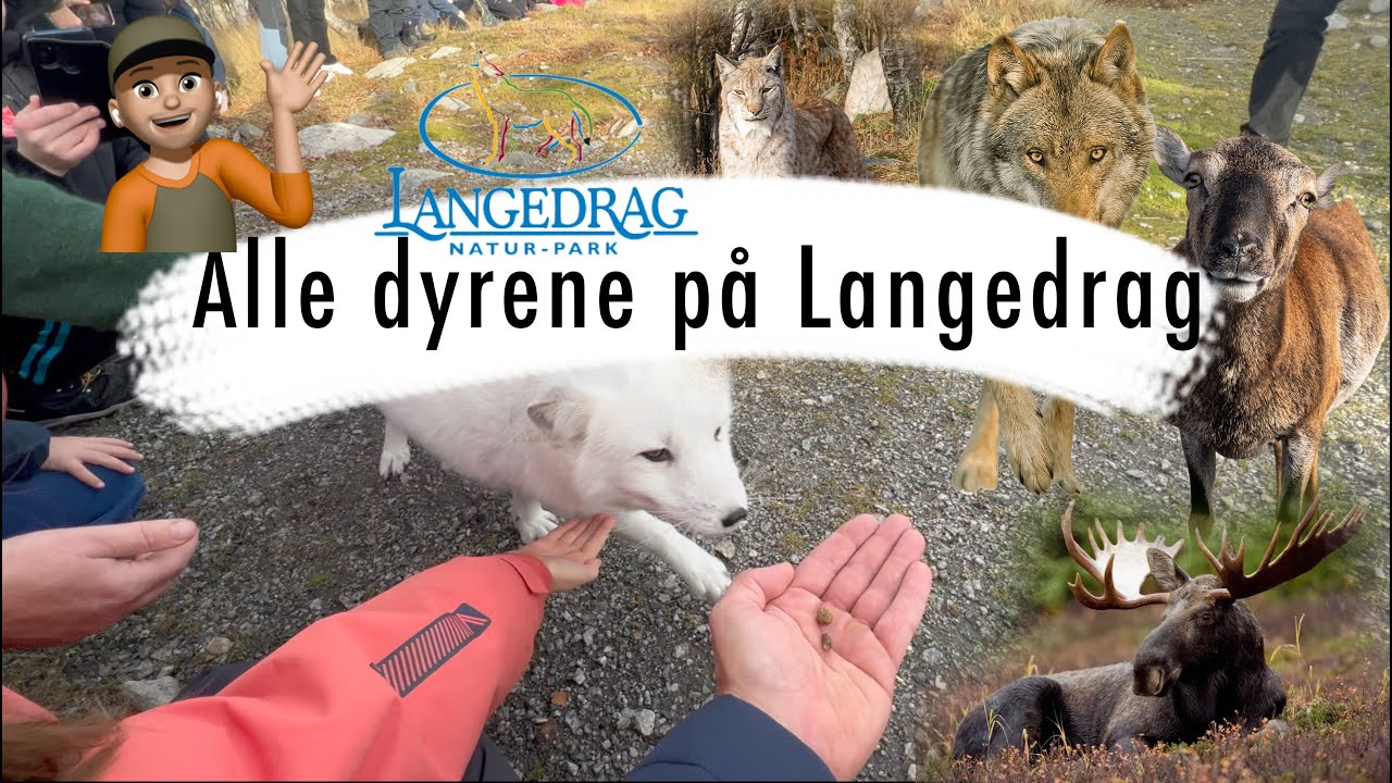 Tur til Gol del 3 Langedrag