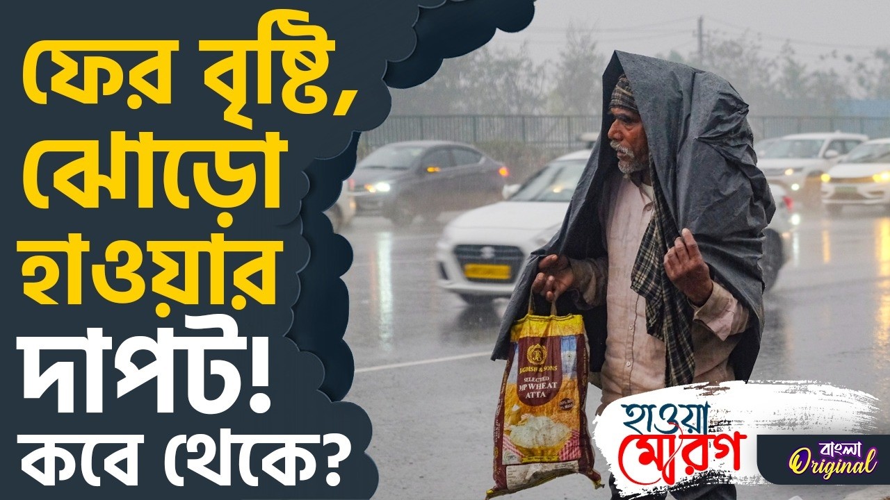Weather Update, Rain Forecast: কোথায়, কবে বৃষ্টি হবে, জেনে নিন | #TV9D