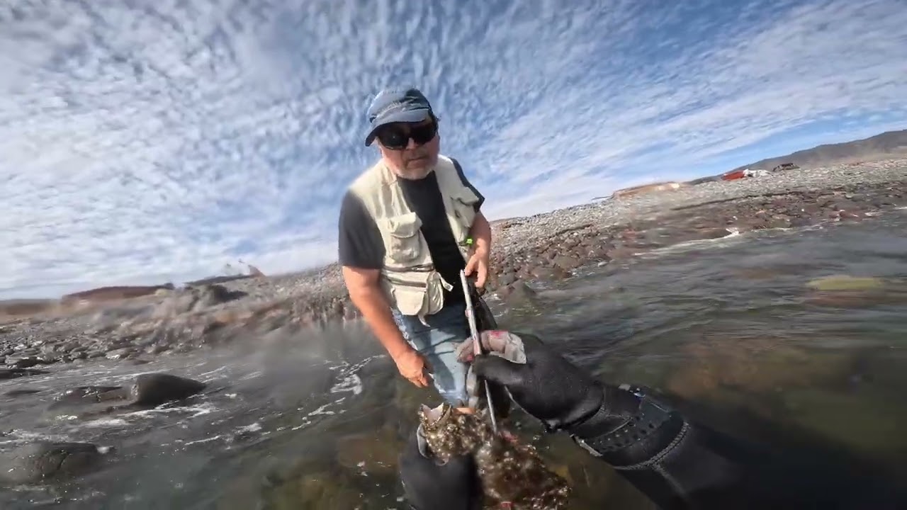 Spearfishing 27 december 2025 15+ fish s caught