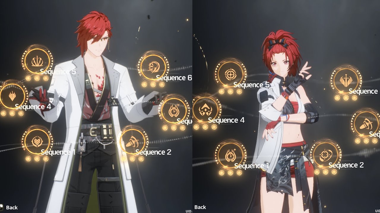 S6 Chixia + S6 Mortefi - Wuthering Waves