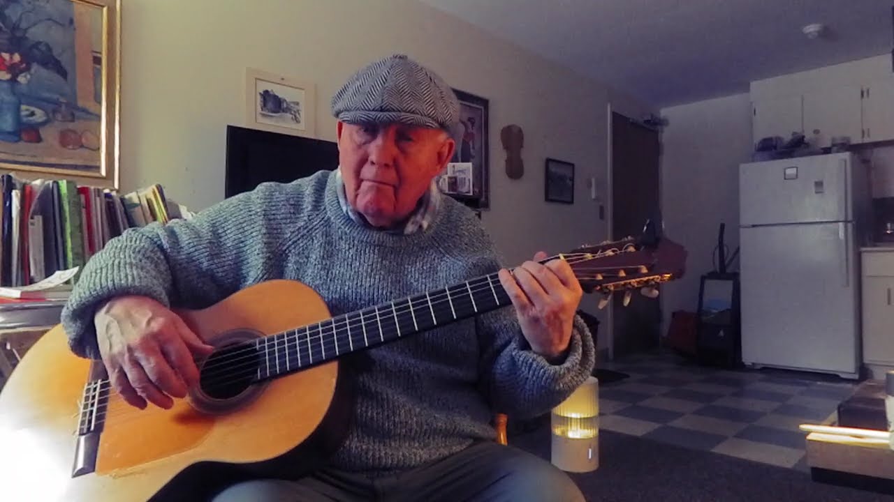 Sally Gardens   (Instrumental Cover)