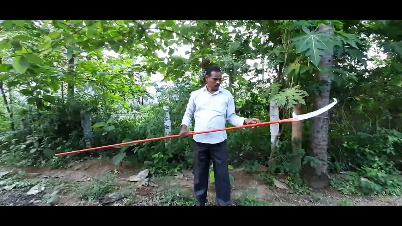 Tree pruner🌳Telescopic Pruning Saw,தேக்கு மரம் கிளை அருக்கும் கருவி.Extendable Pole Saw for trimming