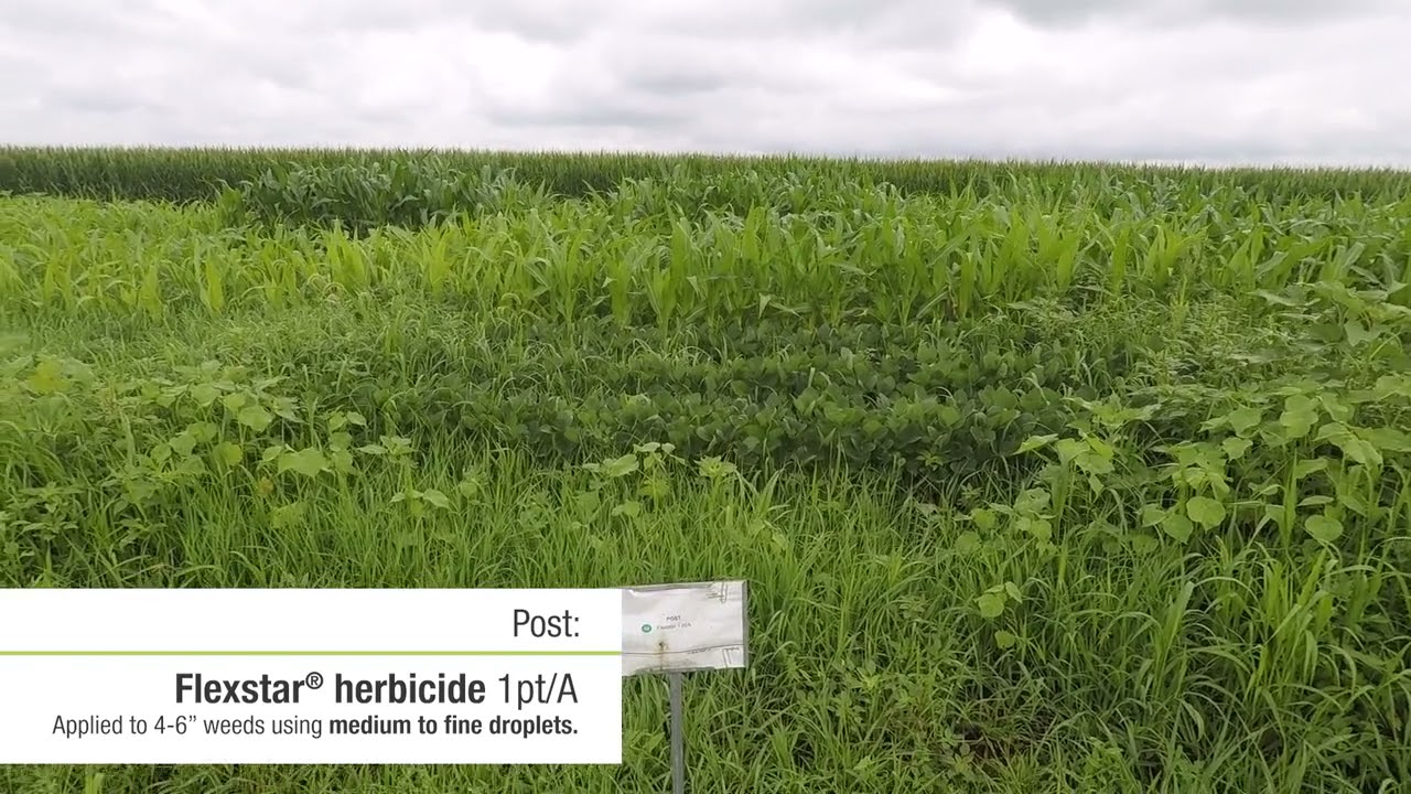 Importance of Herbicide Spray Coverage