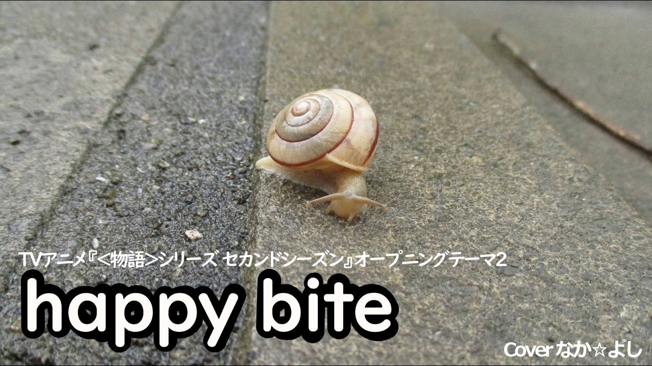 happy bite／加藤英美里【うたスキ動画】
