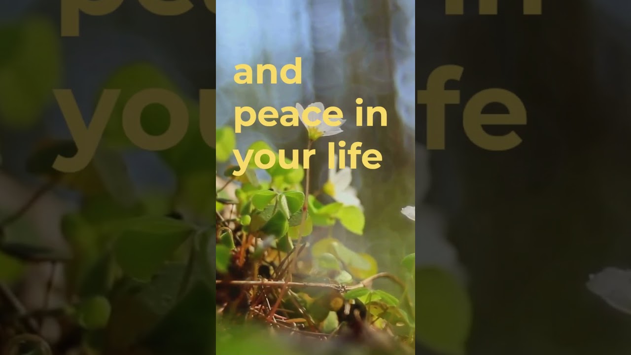love for plants &mdash; a way of life. 🌿 Leafy Adventure 🌱  #leafylife #nature #leafy  #adventure
