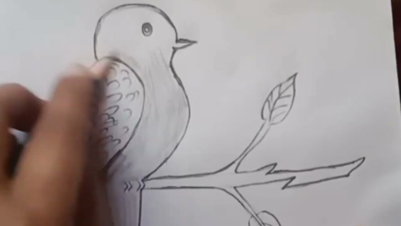 🐦 Bird ki drawing inaya artist