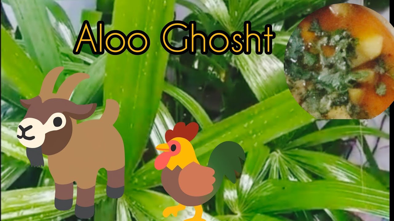 Aaj bnaya Aloo Ghosht 😋 Daily routine vlog 