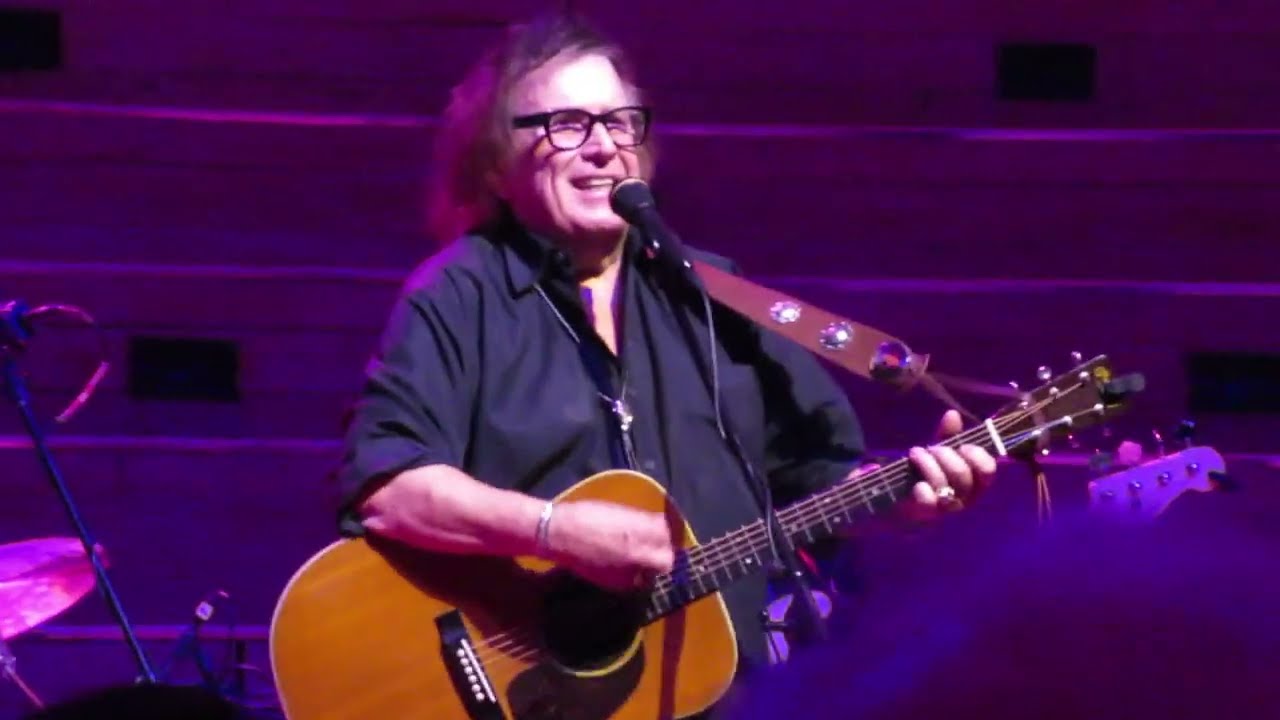 DON MCLEAN - 