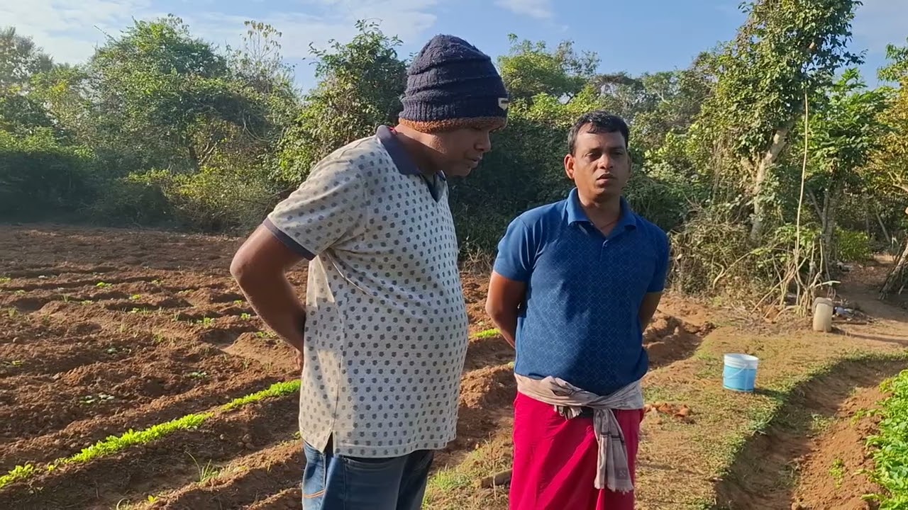 ଜଣେ ଶିକ୍ଷିତ ଓ ସଫଳ ଚାଷୀଙ୍କ ଠାରୁ ଆଜି ନୂଆ ନୂଆ ମେଡ଼ିସିନ ବିଷୟରେ ଜାଣିବା 