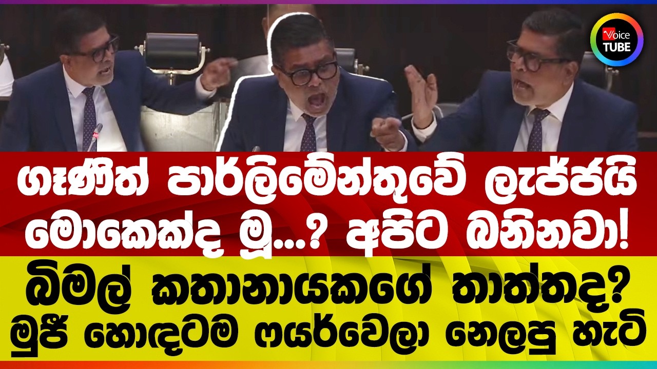 ගෑණිත් පාර්ලිමේන්තුවේ ලැජ්ජයි | මොකෙක්ද මූ? අපිට බනිනවා! බිමල් කතානායකගේ තාත්තද?මුජී  ෆයර්වෙලා නෙලයි