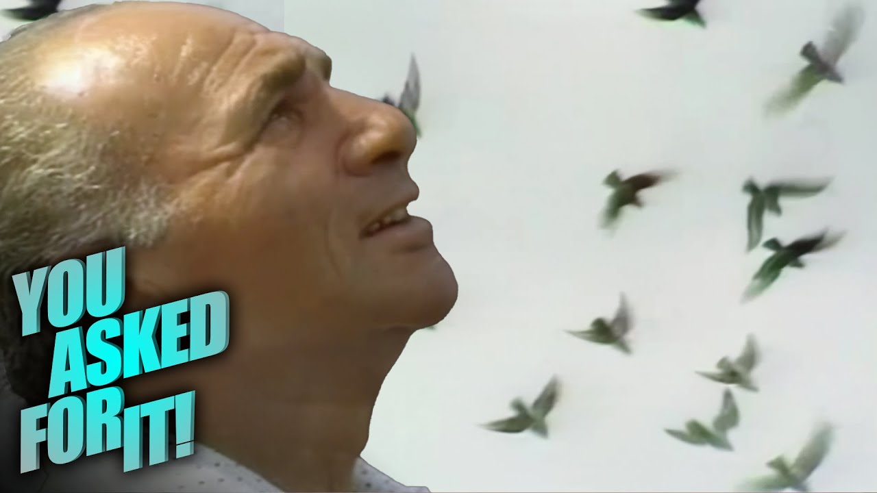 The Brooklyn Pigeon Wars w/ Frank the General | You Asked For It