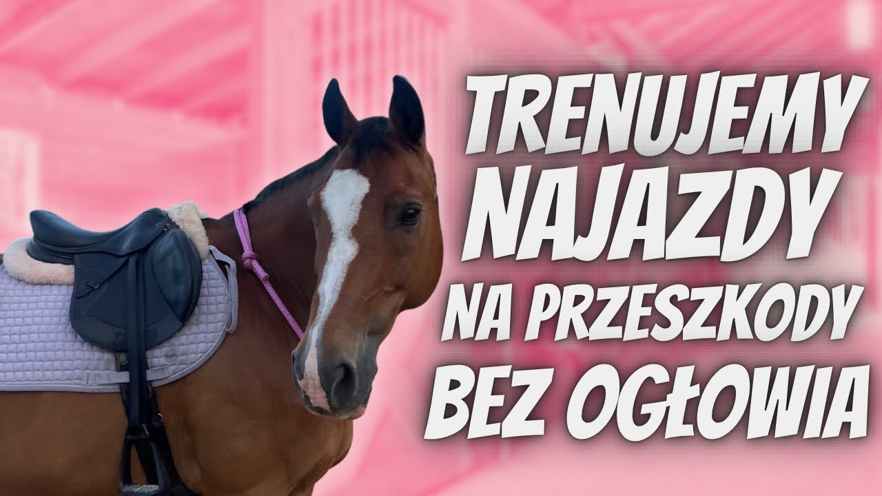 TRENING SKOKOWY BEZ OGŁOWIA - USTAWILIŚMY PARKUR Z DRĄŻKÓW Z 1 DNIA MISTRZOSTW BRIDLELESS