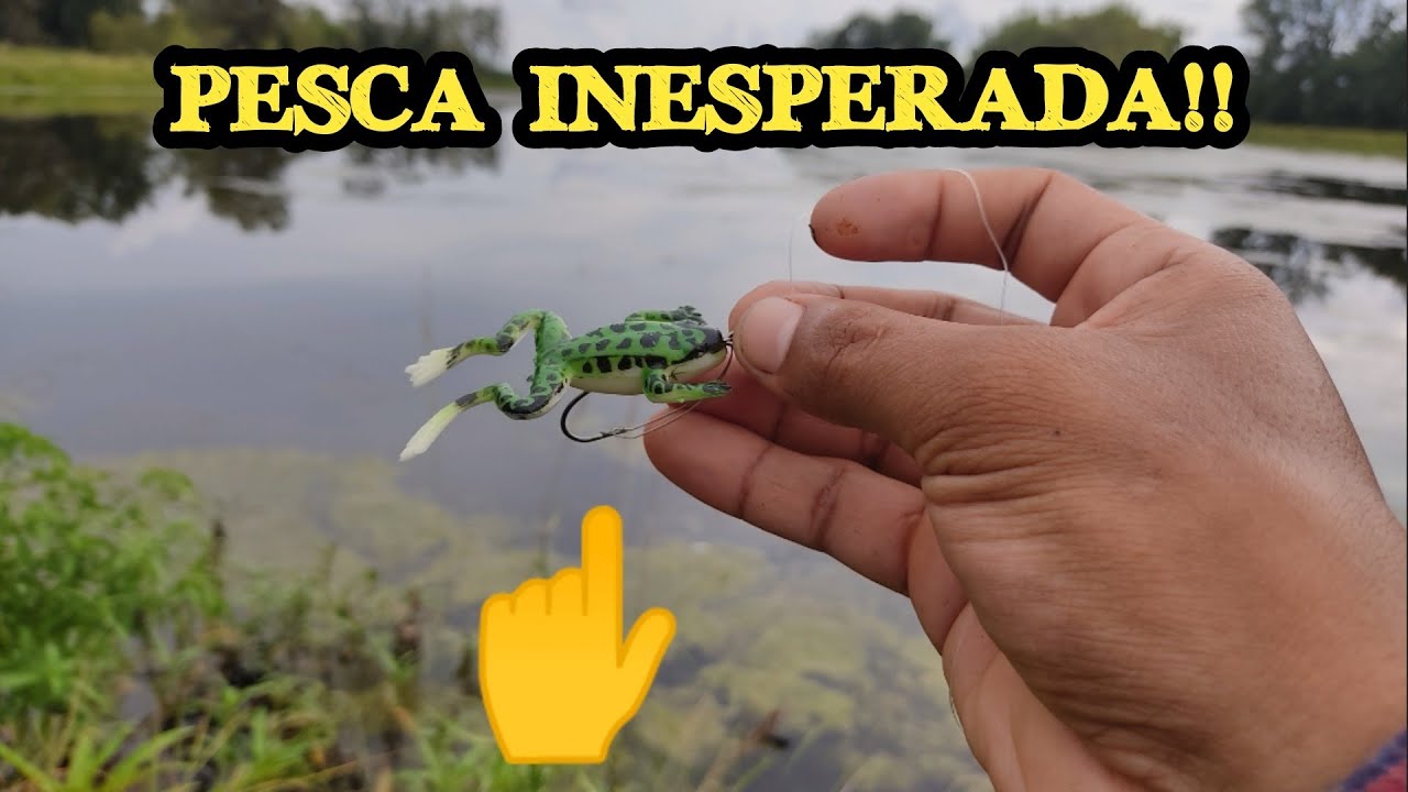 Pesca Inesperada!😱|| Pesca Con Rana Artificial!!