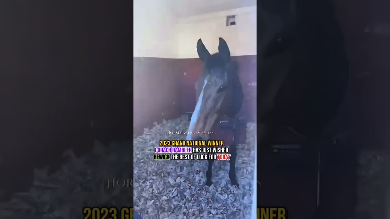 🐴Corach Rambler 🤝 Hewick🐴 ahead of the 2025 Aintree Grand National today