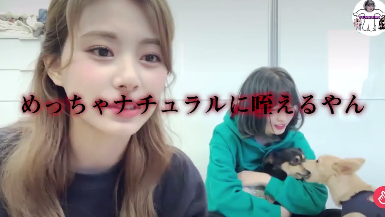モモとツウィは犬が「大好き」【TWICE日本語字幕】