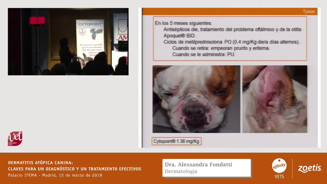 Dermatitis at&oacute;pica canina: claves para un diagn&oacute;stico y un tratamiento efectivos. Casos Cl&iacute;nicos