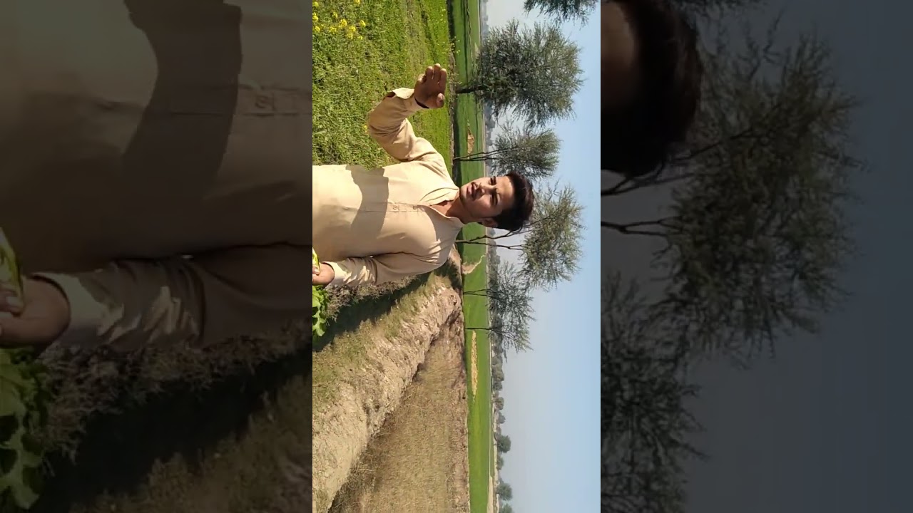 Khokhar TV Asif Saraiki The New Funny Block 1 million views 😊😊😊🤗🤗