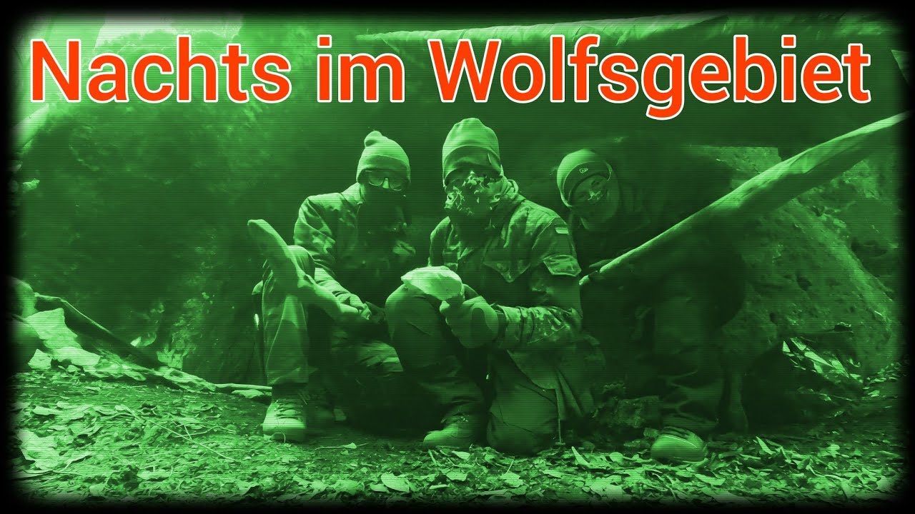 Nachts im Wolfsgebiet / NoFace
