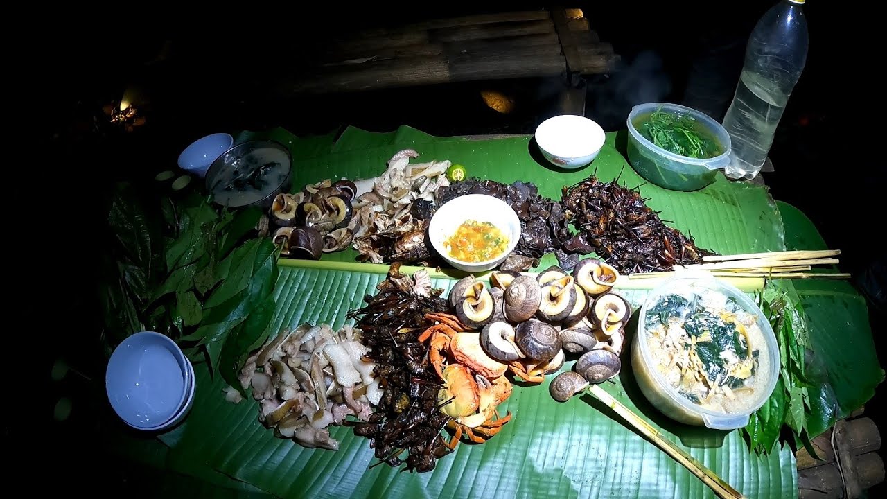 #547. Bữa tiệc trong rừng đêm, phiêu lưu trong rừng