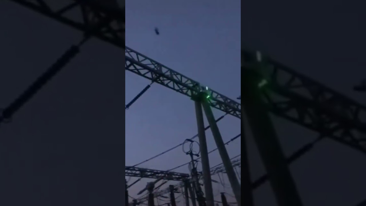 Smart Laser bird repellent Video