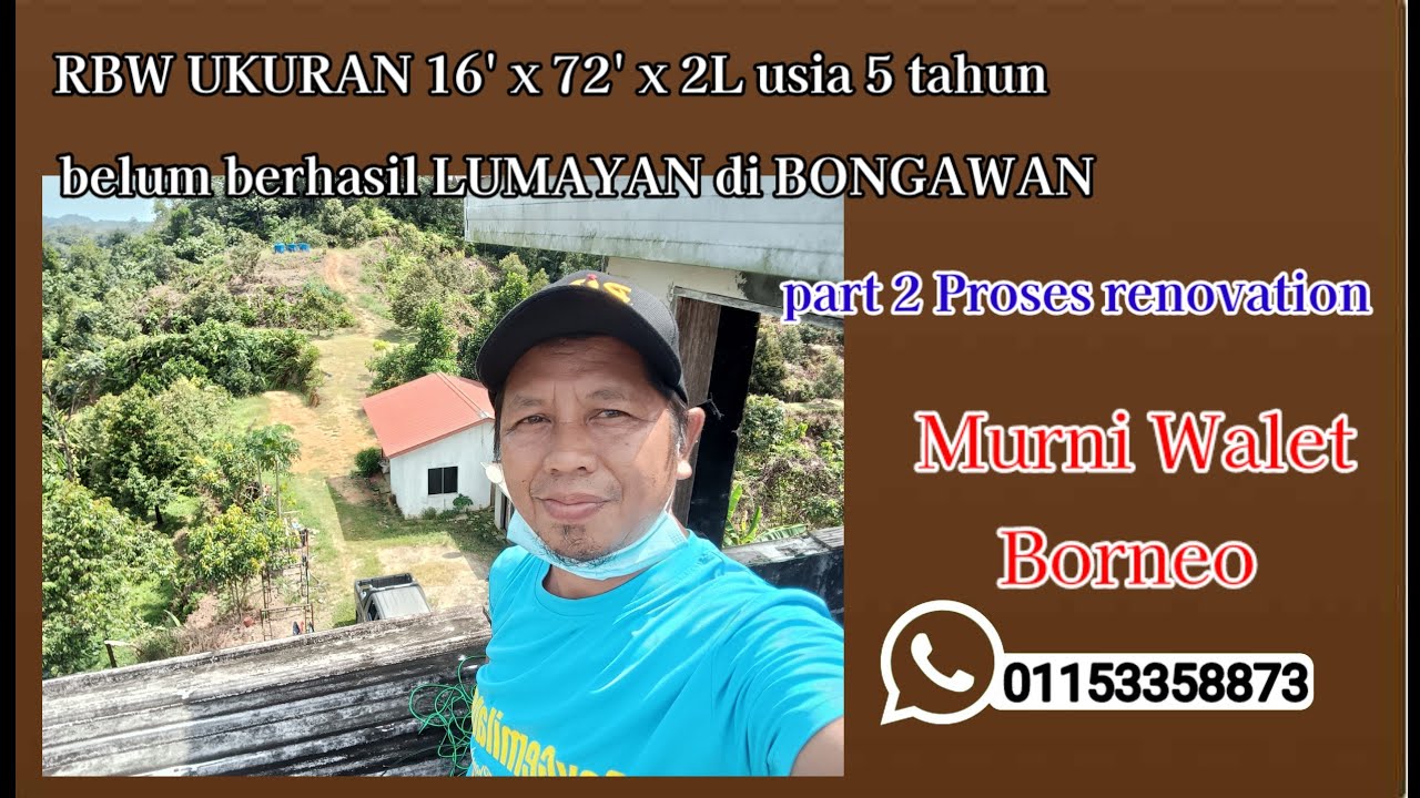 RBW ukuran 16' x 72' x 2L BERUSIA 5 TAHUN belum berhasil LUMAYAN di BONGAWAN PART 2_ renovation
