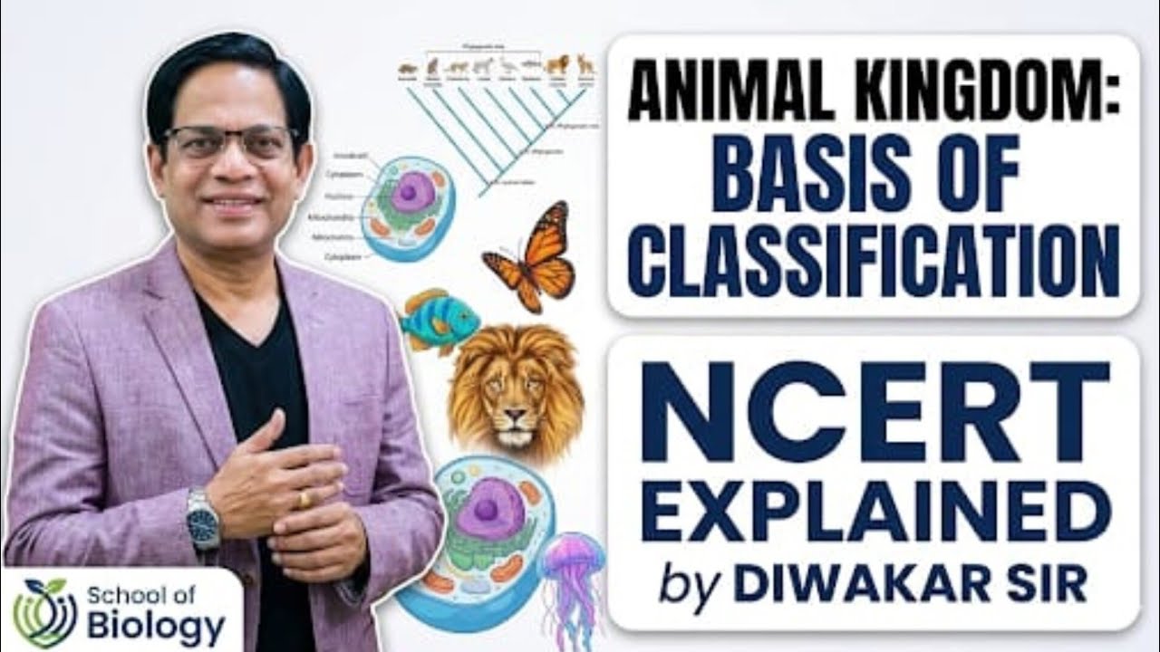 Animal Kingdom: Basis of Classification | NCERT Explained by Diwakar Sir | School of Biology