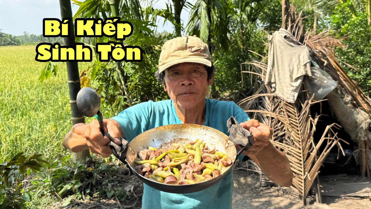 Cánh đồng quê