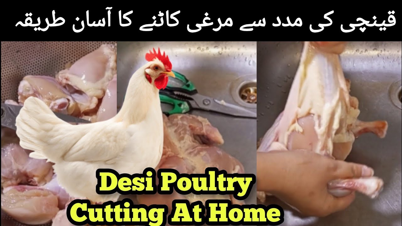 Chicken Cutting  With Scissors | How To Cut Whole Chicken | Fast Chicken Cutting | Binish Ka Tiffin 