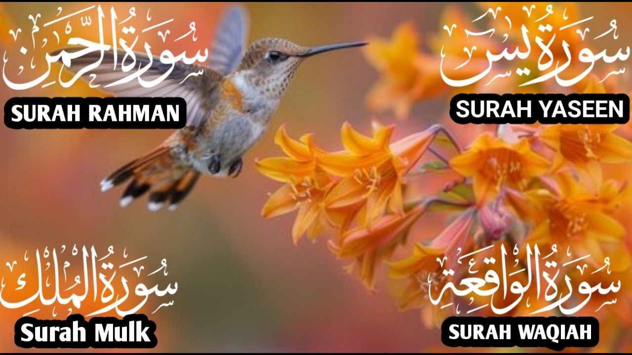 Heart Soothing Quran Recitation❤️Surah Yaseen❤️Surah Rahman❤️Surah Mulk❤️Surah Waqia❤️#qurantilawat