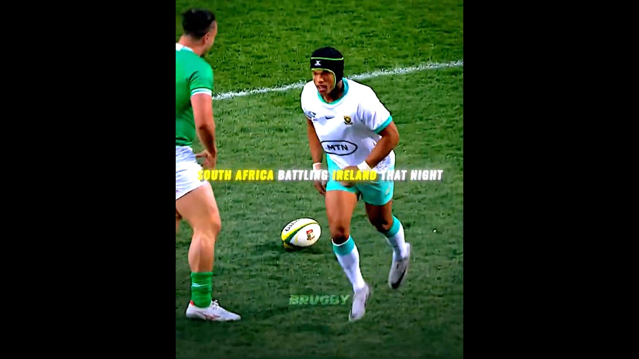 Lone Springbok fan owns All Blacks crowd in NZ🥶