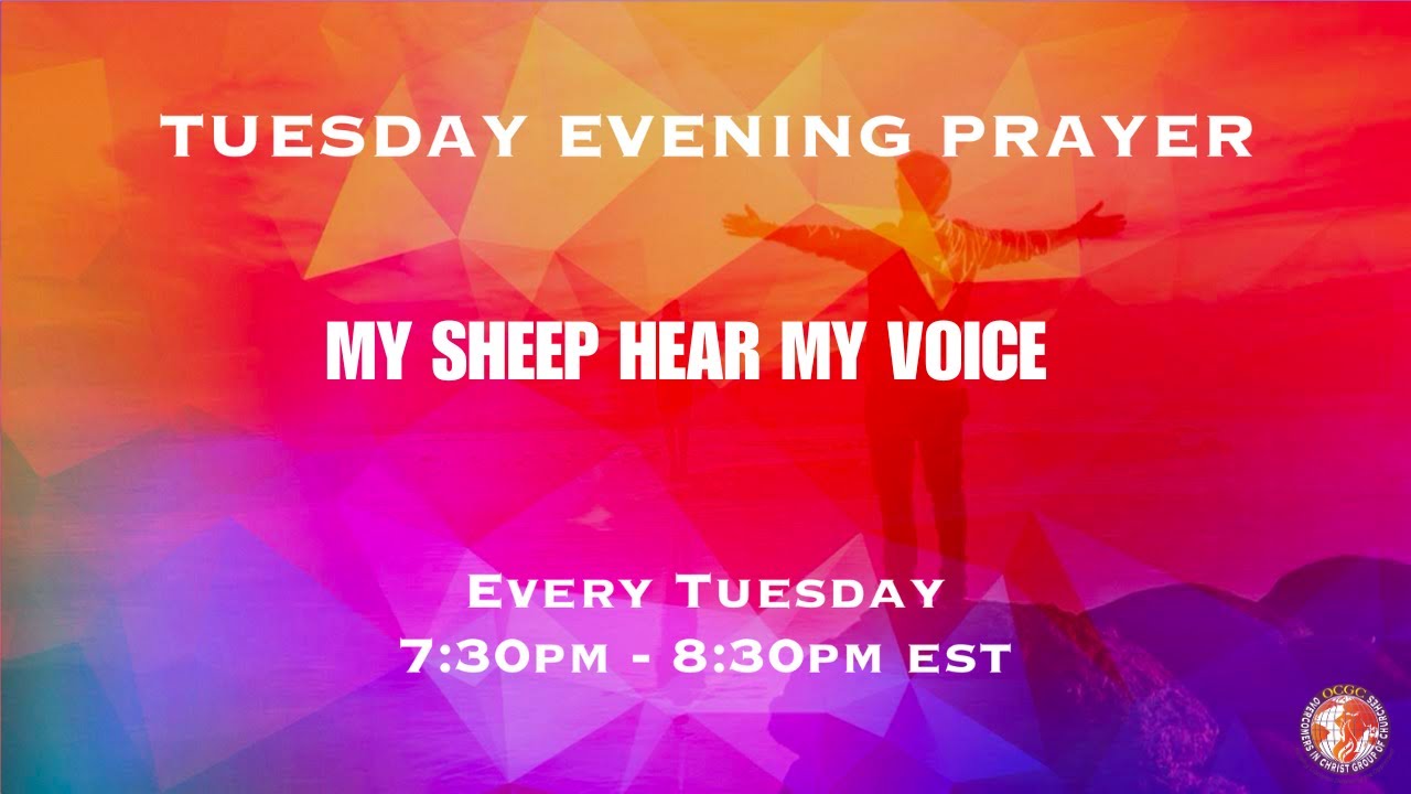MY SHEEP HEAR MY VOICE - Tuesday Evening Prayer - Pastor Saskia Evans