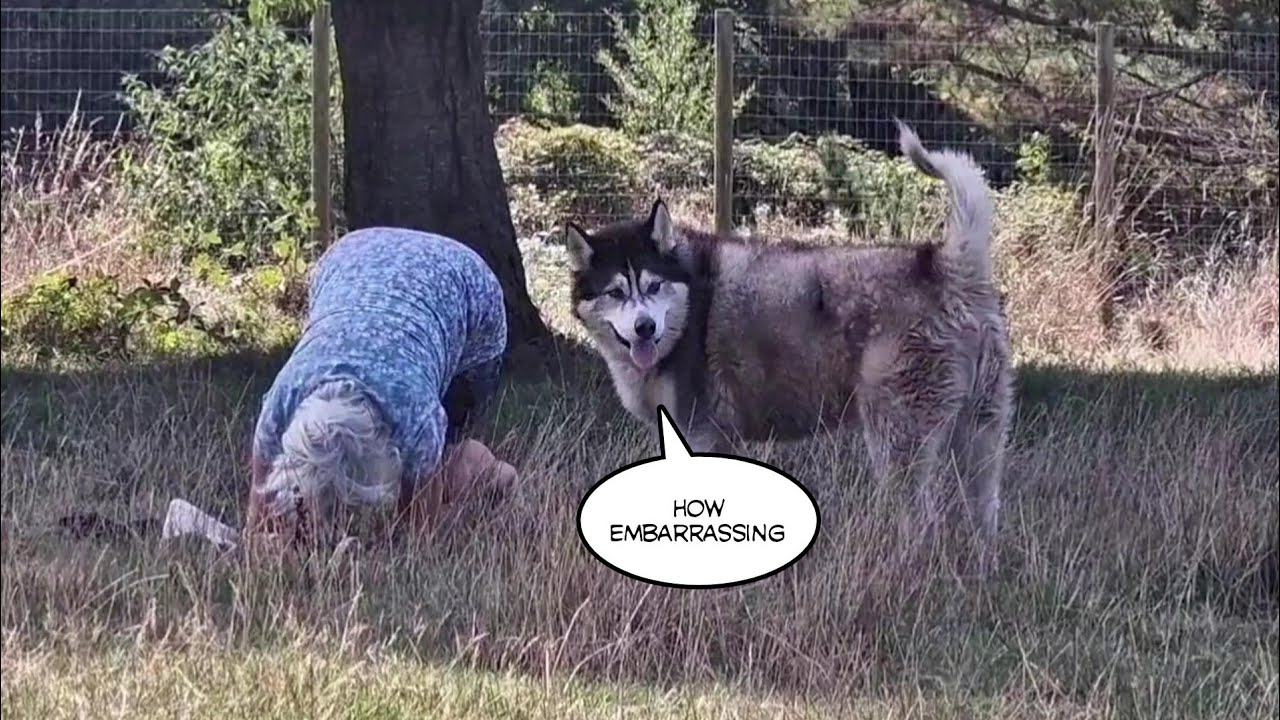 When Granny Can't Get Back Up Again! So Funny!