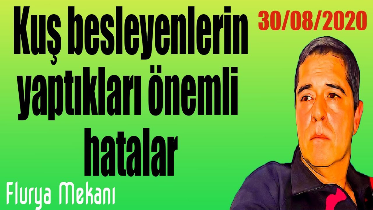 Flurya Mekanı - Kuş besleyenlerin yaptıkları önemli hatalar