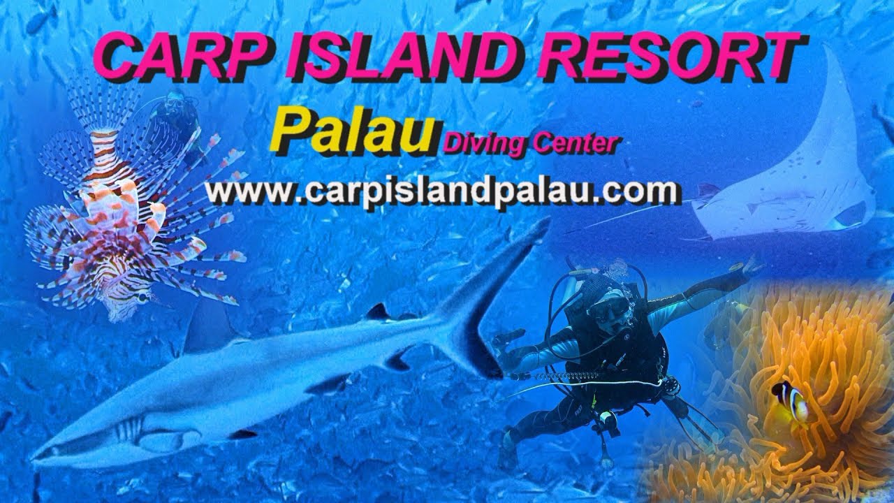 Palau , Carp Island Resort ,the perfect diving Resort of Palau,Republic of Palau.