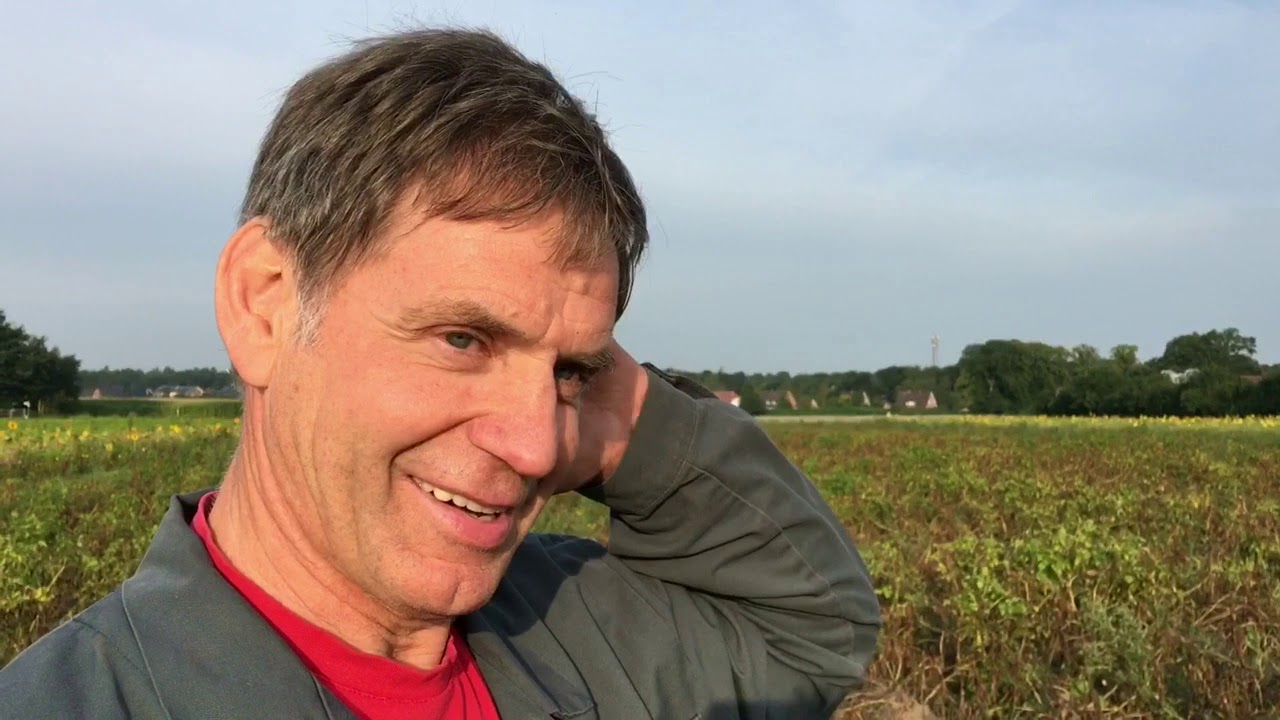 Duell der Felder: Mit dem Schlegelmulcher über das Kartoffelfeld