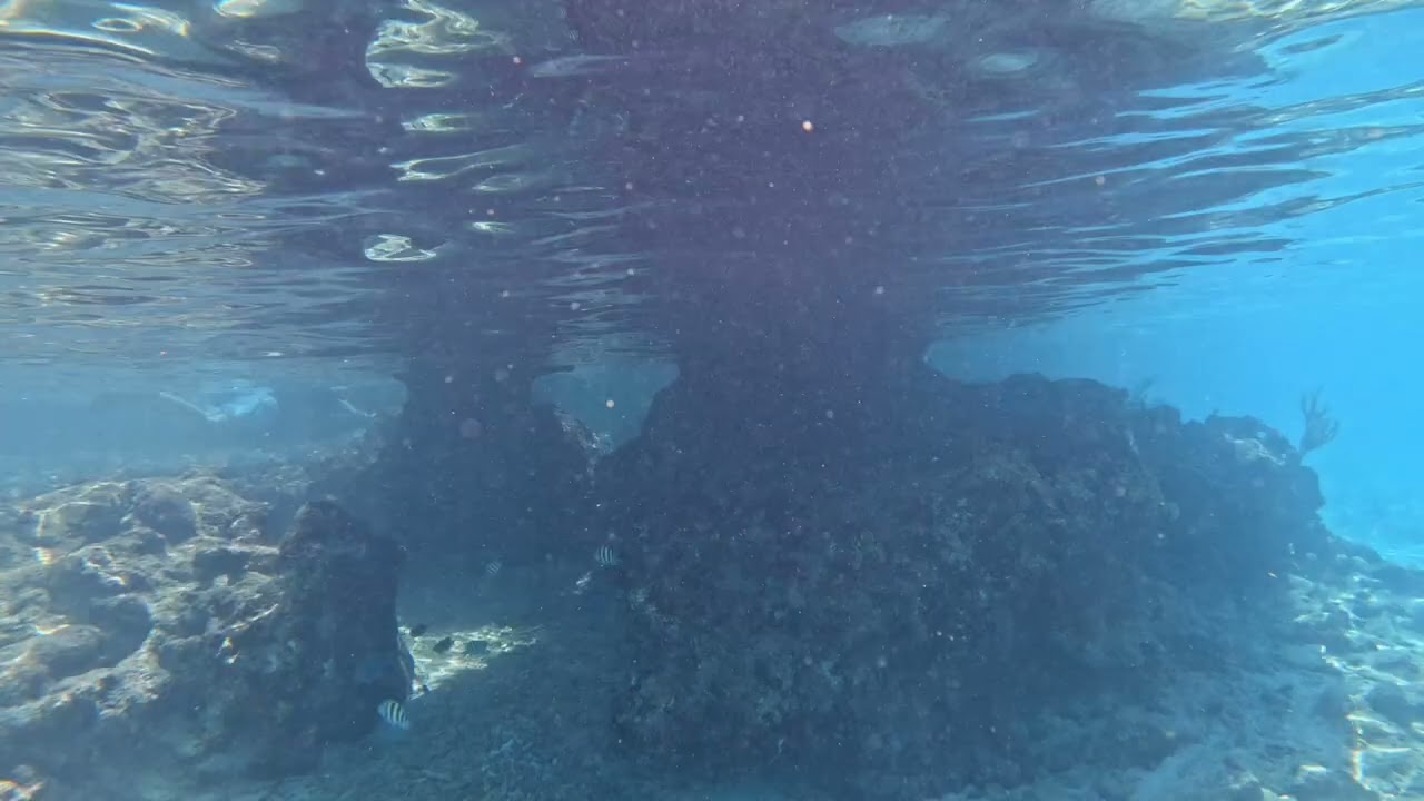 Snorkeling in the clear water of Cas Abao Beach in Curaçao.