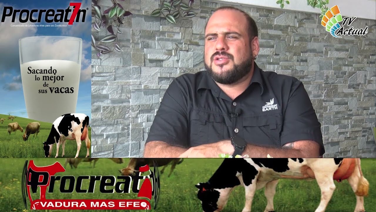 Tips para engorde bovino.