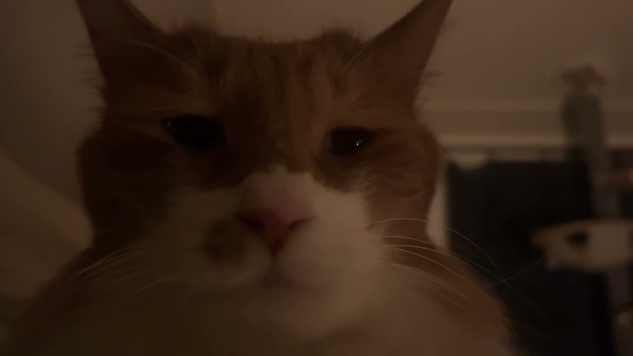 ~.~