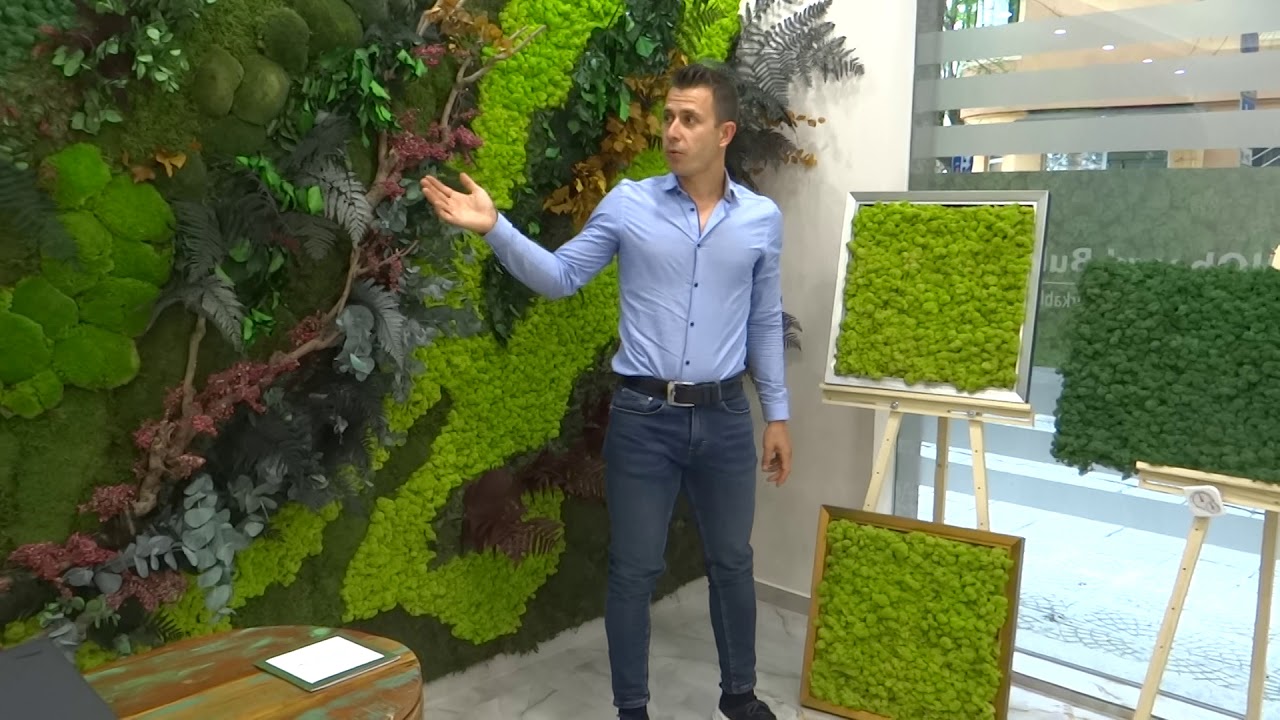 What is MOSS by BIOboard?