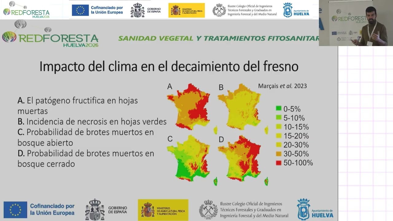 REDFORESTA HUELVA 2026 - Decaimiento del fresno. Cómo hacer frente a esta enfermedad.