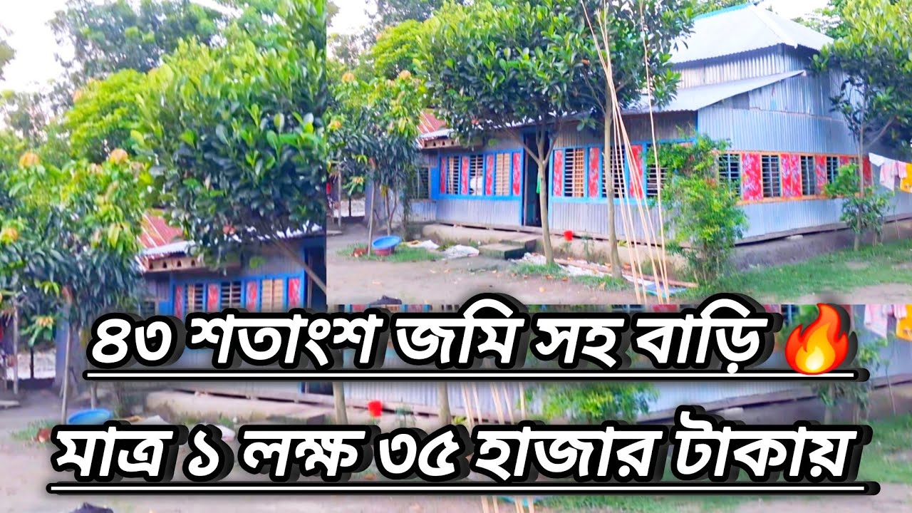 মাত্র ১ লক্ষ ৩৫ হাজার টাকায় ৪৩ শতাংশ জমি সহ পাকা বাড়ি! এতো কম দামে বিশ্বাস হবে না!