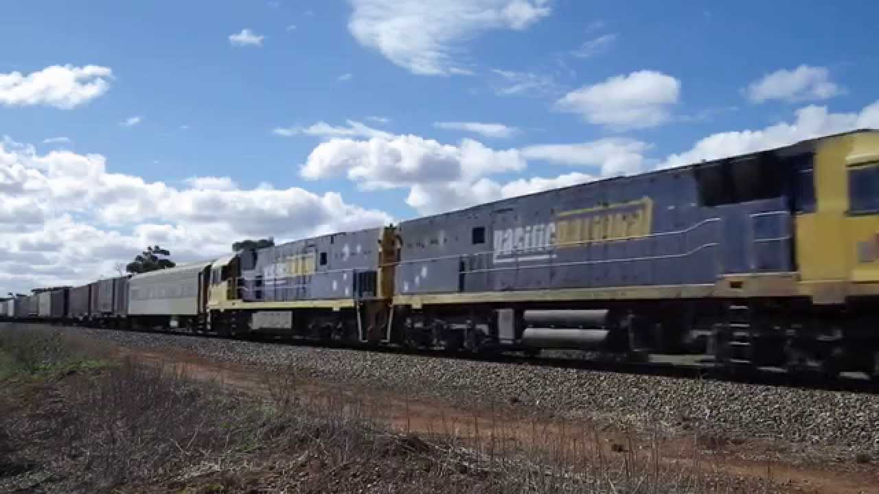 PacNat NR82 NR116 on PM7  at Gallipoli Crossing between Mallala & Two Wells. 4/5/14