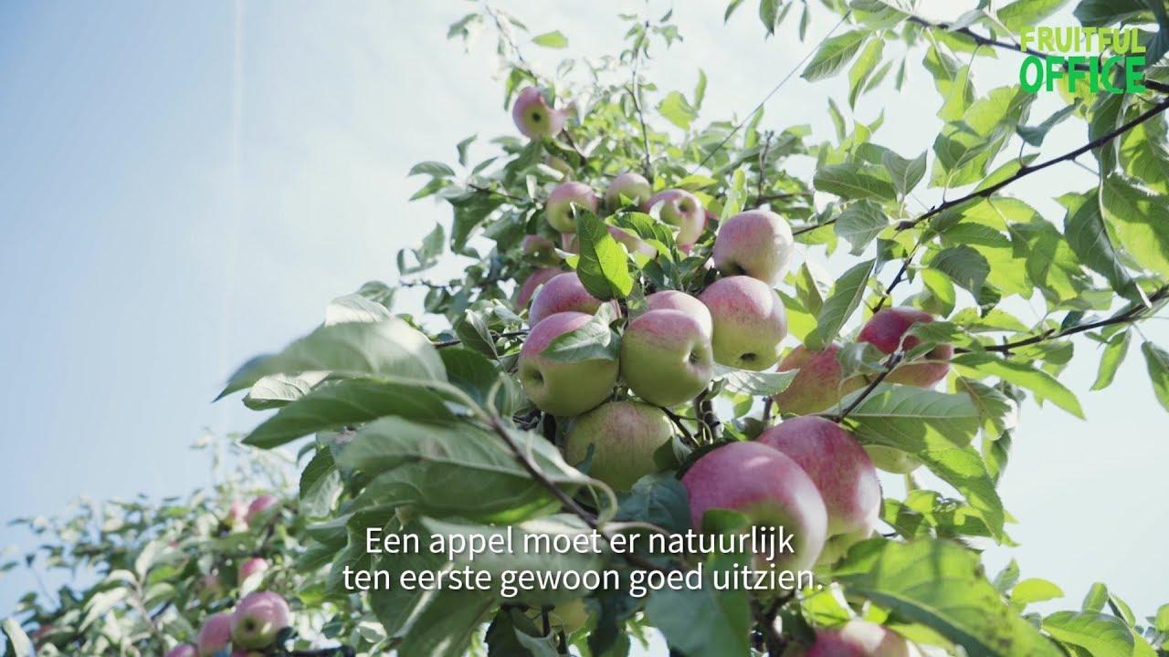 Op bezoek bij onze fruitteler