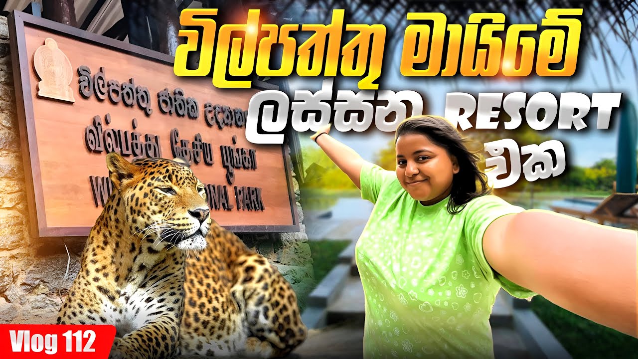 විල්පත්තු ගියා Wilpattu National Park Sri Lanka 🇱🇰 Ral Madu Resort - Eluwankulama