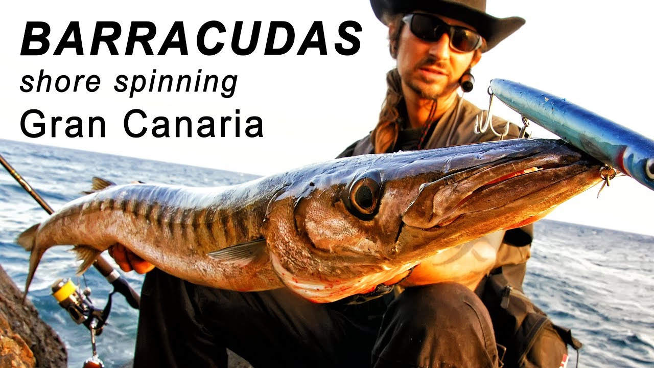 BARRAKUDAS vom Ufer Tipps & Tricks - BARRACUDA spinning from shore Gran Canaria!