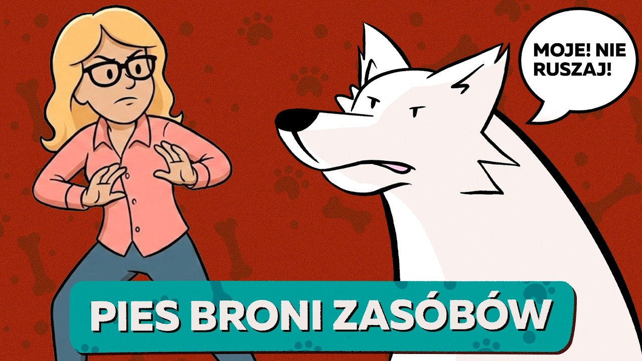 PROJEKT PETS - Czemu pies broni miski?