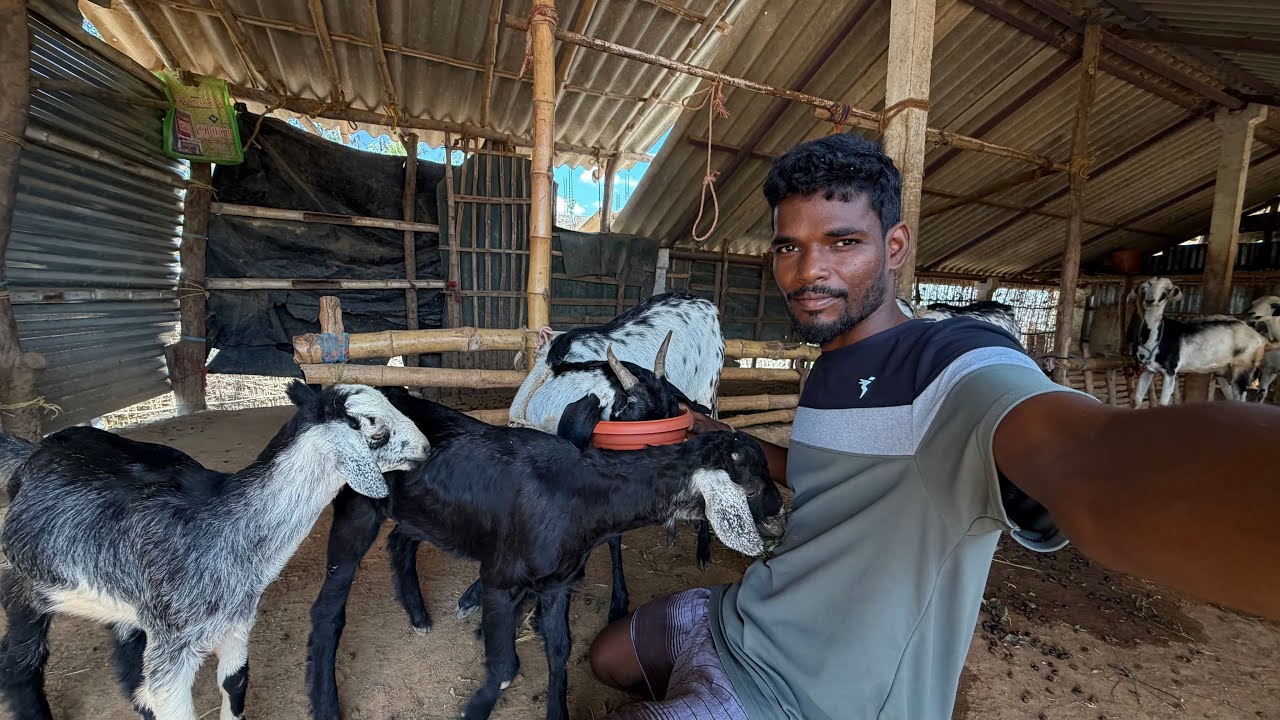 Today Our Lifestyle Vlog|Idhu Namma Route. #tamil#vlog 