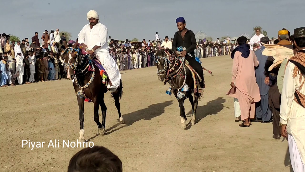Horse Race in Sindh Pakistan