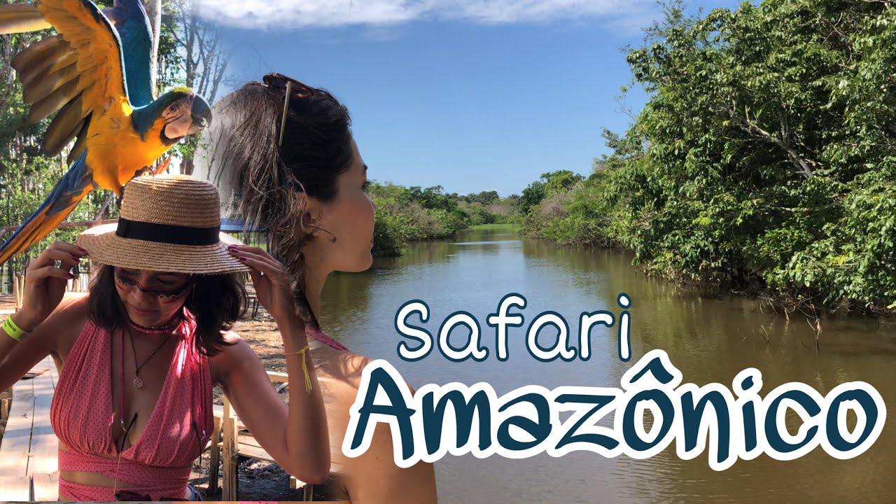 Safari Amazônico - Passeio de barco, Macacos, botos, Encontro das águas, aldeia indígena e mais.