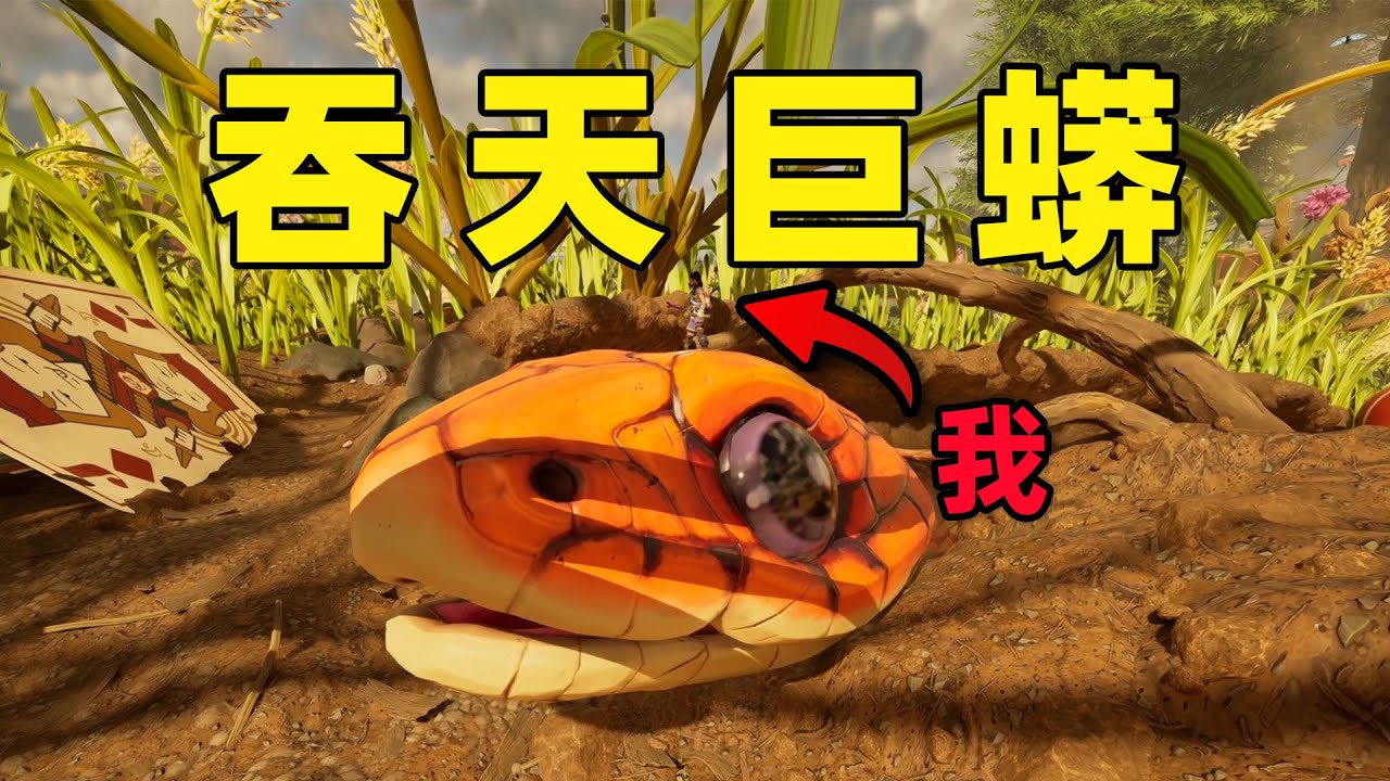 遭遇比你大1000倍的宠物蛇，你要怎么活下去？